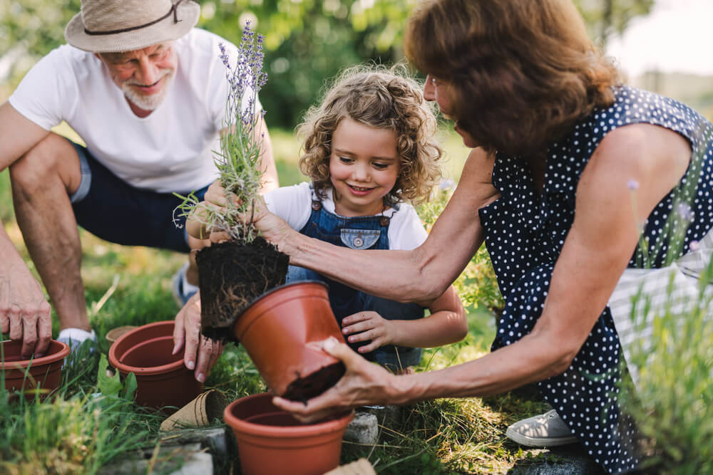 Family gardening with child