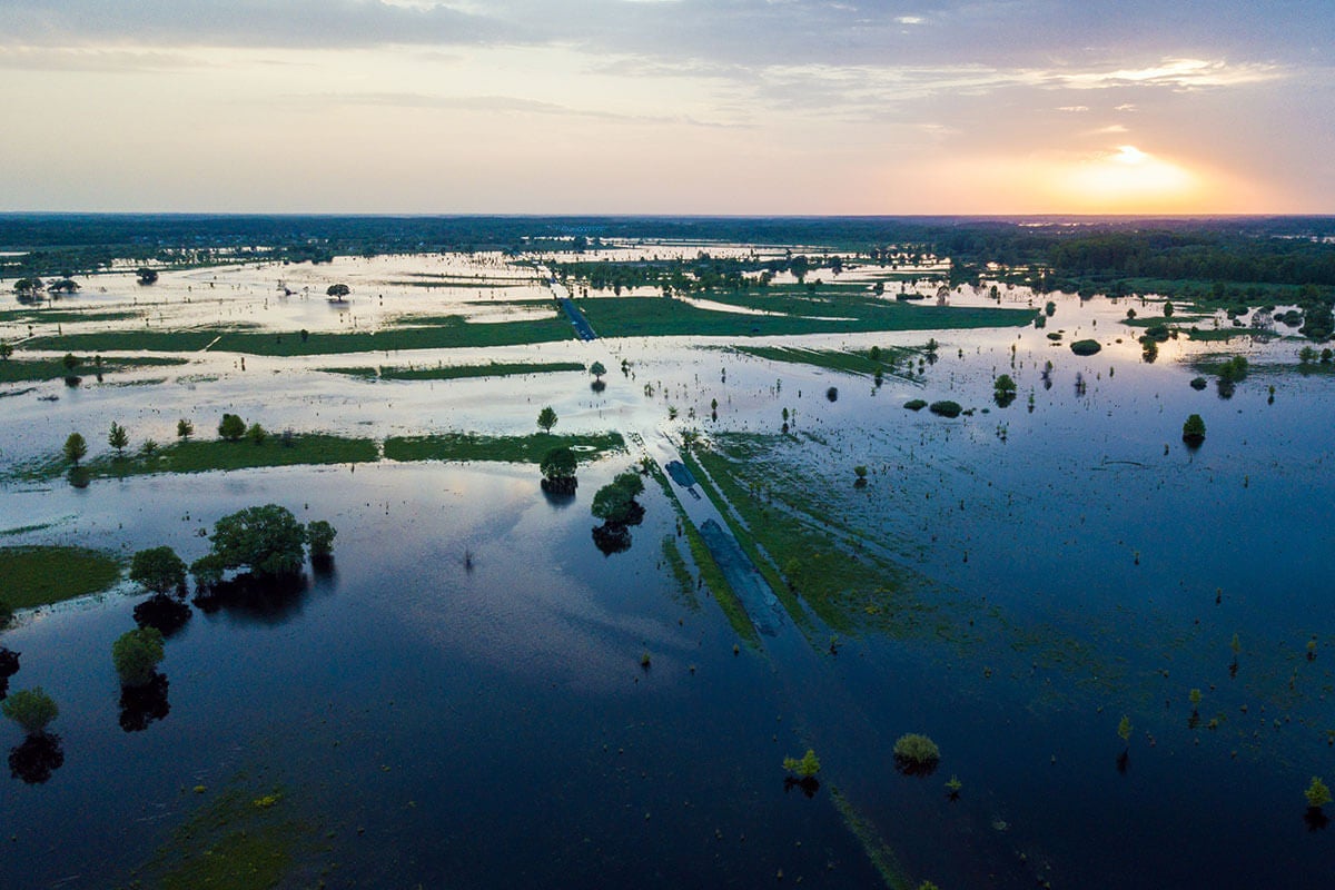 Flooded field and road