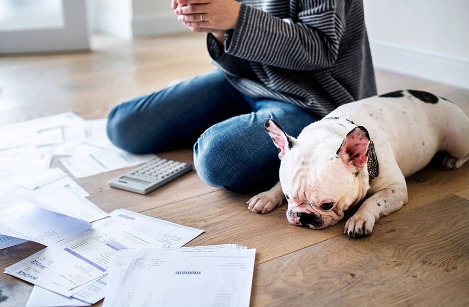 woman with dog paying bills