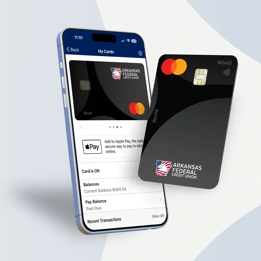 Cash Back Credit Card